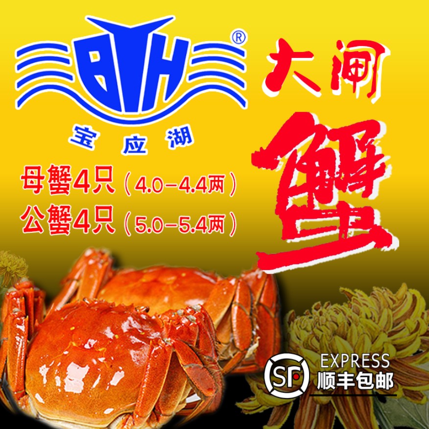 寶應(yīng)大閘蟹對公對母8只