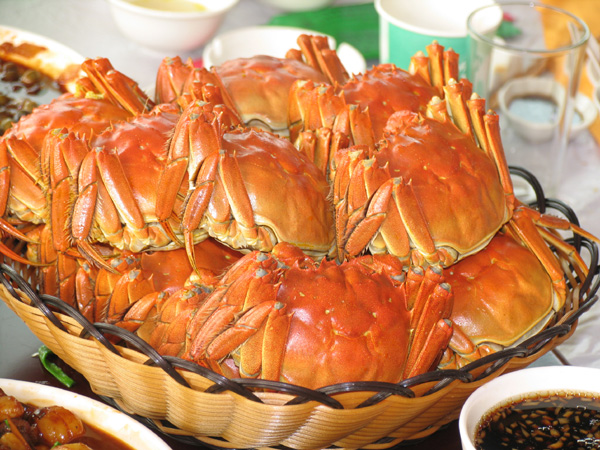 “寶應(yīng)湖”中華絨螯蟹